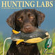 Hunting Labs 2026 12 X 12 Wall Calendar Willow Creek Press Willow Creek Press Calendars