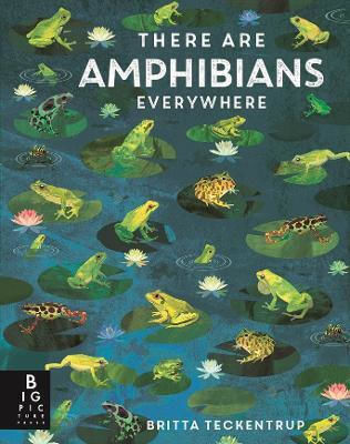 There Are Amphibians Everywhere Camilla De La Bedoyere