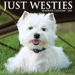 Westies 2026 Wall Calendar Willow Creek Press Wlcp