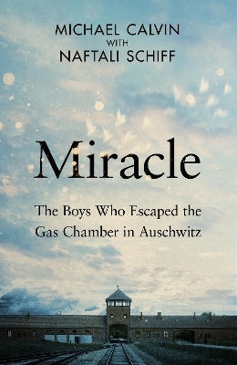 Miracle The Boys Who Escaped The Gas Chamber In Auschwitz Naftali Schiff Bantam Transworld Publishers A Division Of The Random House Group Miracle The Boys Who Escaped The Gas Chamber In Auschwitz Naftali Schiff Bantam Transworld Publishers A Division Of The Random House Group