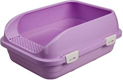 Basin Purple Basin Purple