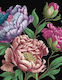 Peonies Journal Lined Pages And Sprayed Edges Editors Of Inc.,u.s