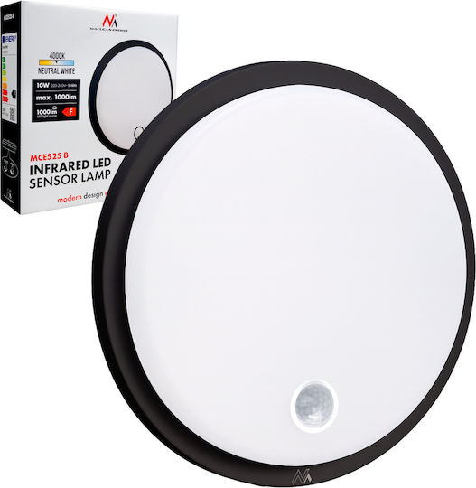 Maclean Energy Στεγανό Επιτοίχιο Εξωτερικό Φωτιστικό LED 10W Maclean Energy Στεγανό Επιτοίχιο Εξωτερικό Φωτιστικό LED 10W