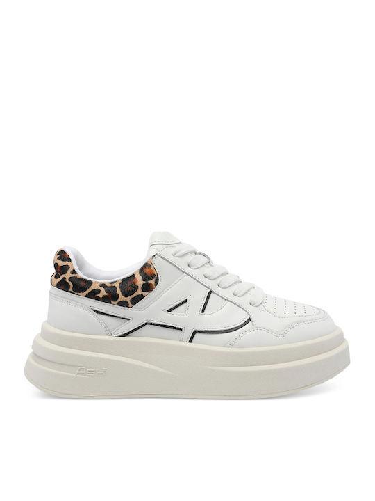 Ash 'combo' Sneakers Wht / Leopard Bisc