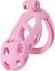Hidden Desire Penis Cage in Pink Color