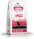 Dog Food 12kg Ξηρά Τροφή για Κουτάβια Μεσαίων & Μεγαλόσωμων Φυλών με Βοδινό