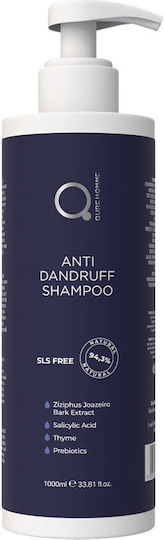 Qure Shampoos Against Dandruff & Dry Scalp for Oily Hair 1000ml