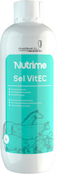 Pharmacell Dietary Supplement 1L Pharmacell Dietary Supplement 1L