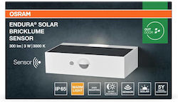 Osram Wandmontiert Solarlampe 3W 300lm mit Bewegungsmelder Osram Wandmontiert Solarlampe 3W 300lm mit Bewegungsmelder