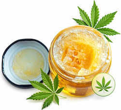 Neuroxtracts Ζελεδάκια με 70% CBD & με 70% CBG 30ml Neuroxtracts Ζελεδάκια με 70% CBD & με 70% CBG 30ml