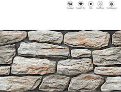 PAVIT Fliese Boden / Wand Draußen 60x30cm