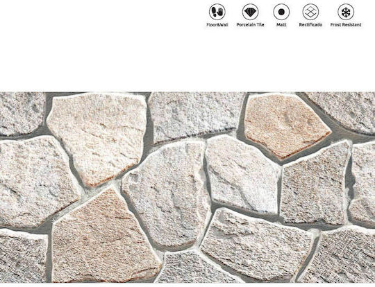 PAVIT Placă Perete În aer liber Porțelanat Mat 60x30cm