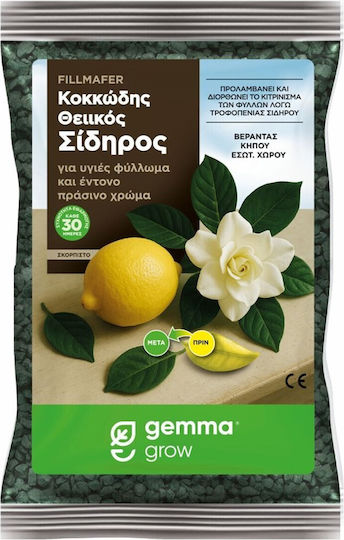 Gemma Гранулиран Тор Сяра, Желязо 500gr