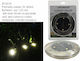 General Trade Solar Light