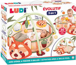 Ludi Baby-Spieldecken und -Gyms für Neugeborene Ludi Baby-Spieldecken und -Gyms für Neugeborene