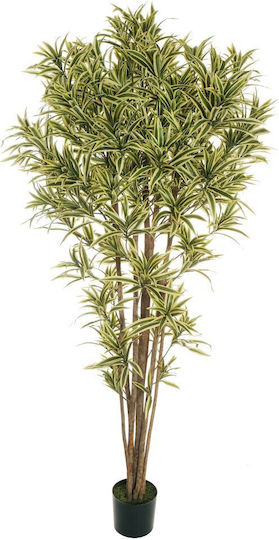 Συνθετικό Φυτό Dracaena Reflex 2679 Φύλλα & 7 Φυσικούς Κορμούς Γλάστρα Ø19,5 Εκ Υ210 Εκ – Ποικιλόχρωμο 80-445964