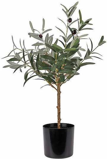 Μικρή Ελιά Κασπό Y.66cm