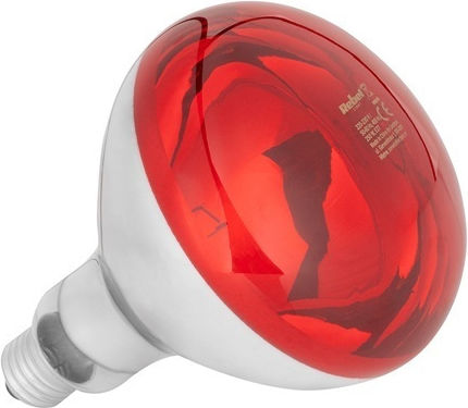 Infrared Lamp Chickens E27 R125 150w Rebel