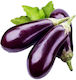 Aubergine Long Skoutari Fak 3g