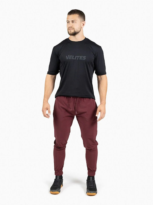 Velites