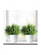 Set 6 Belle Vous Plante Artificiale 35 × 29 Cm Frunze De Ferigă Aspect Natural Material Plastic Rezistent La UV Decorațiune Interioară Exterioară Verde