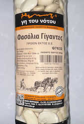 Φασόλια Γίγαντες Φασόλια Γίγαντες