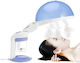 Vaper Care Device for Face with Power 400W Capacity 0.33lt 1.45kg