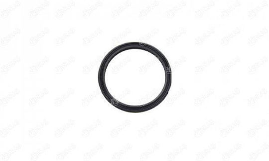 Oring Pipe Intercooler Exhaust Insignia A16let To C