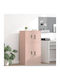 Шкаф Офис Pink 60x40x40см