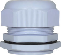 Incobex Kabelverschraubung Pg36 Ene-00411