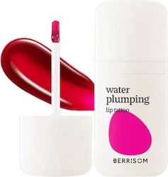 Berrisom Lip Stain Berrisom Lip Stain