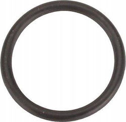 Dedra O ring