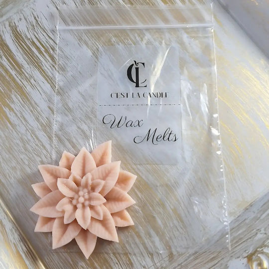 Wax Melts Alexandrines Blume Puder