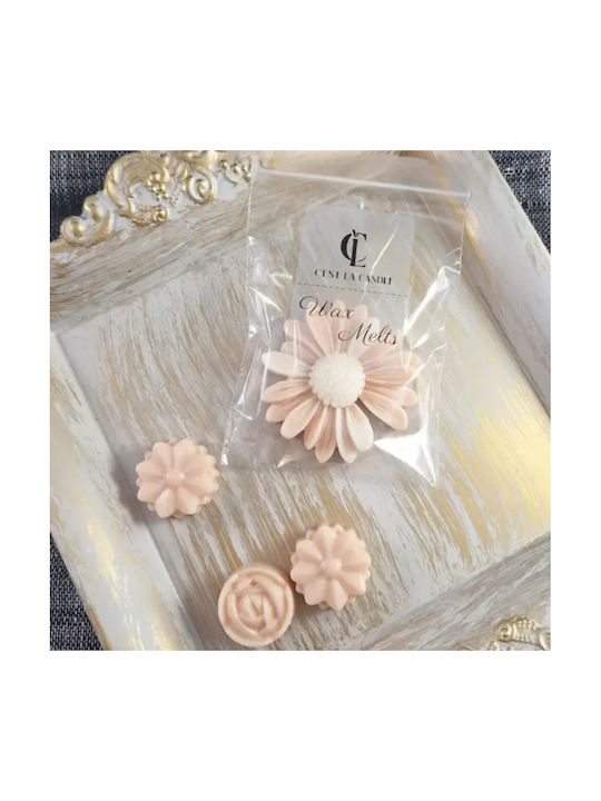 Wax Melts Daisy 1 Piece Cotton Home Fragrance