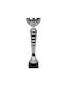 Tryumf Silver Trophy Sports
