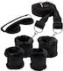 Dream Toys BDSM Kit