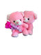 All Saints Fuchsia Rose Two Pink Teddy Bears Height 23 Cm