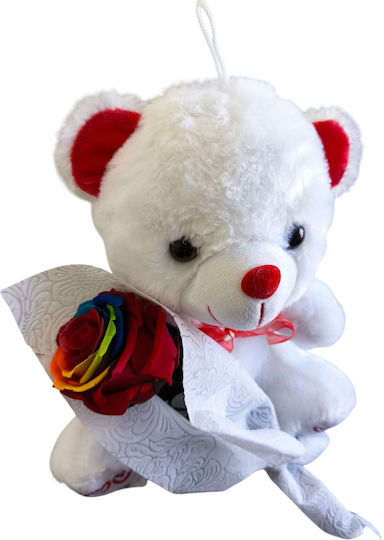 All Saints Rainbow Rose Bear H 23 Cm Milva Flowers