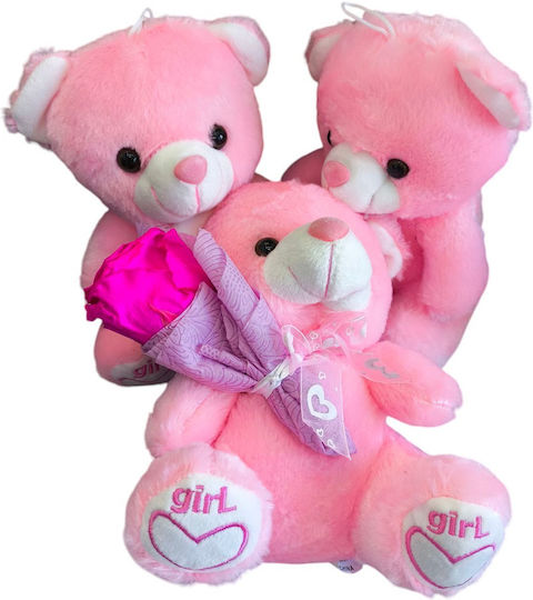All Saints Fuchsia Rose Set 3 Plush Pink Bears H 23 Cm Milva Flowers