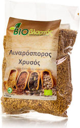 Viovlastos Organic Linseed Gold Import 250g 18493
