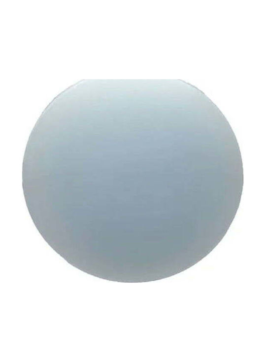 Roof Round LED Panel 6W