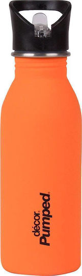 Kinder Trinkflasche Rostfreier Stahl mit Stroh Orange 500ml