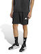 Herren Shorts Schwarz