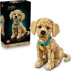 LEGO Icons Golden Retriever Puppy για 18+ Ετών 2102τμχ