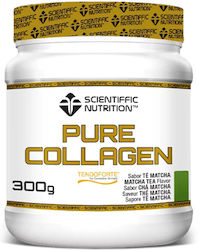 Scientiffic Nutrition Pure Collagen Tendoforte x Matcha Tea 300gr Scientiffic Nutrition Pure Collagen Tendoforte x Matcha Tea 300gr