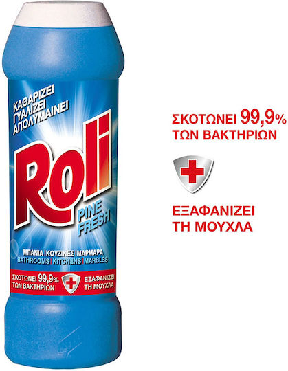 Roli Σκόνη Καθαρισμού Γενικής Χρήσης με Απολυμαντική Δράση 500gr