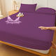 Pucioasa Protecție pentru Saltea Set cu Fețe de Pernă Queen Waterproof Violet 160x200cm