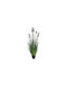 Neobartsia Lavender in Potted Plant Lilac 90cm Atmosphera