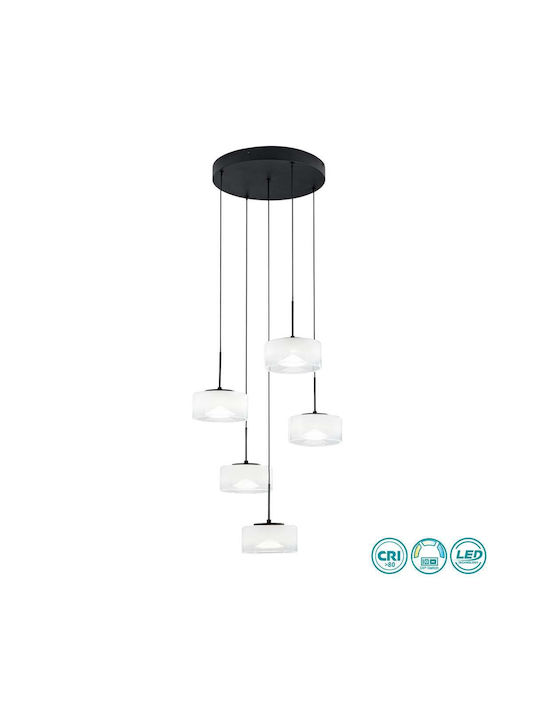 Fan Europe Pendant Light Black