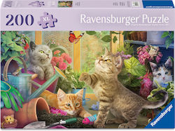 Cheeky Cats Puzzle 2D 200pcs